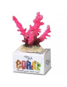 Coral Module Staghorn Coral...