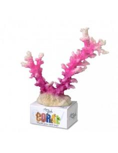 Coral Module Staghorn Coral...