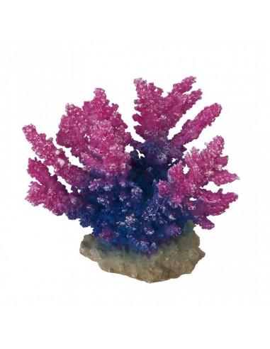 Coral Acropora 15x7x13cm