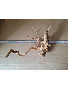 Mangrove root 35x25x28