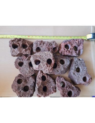 Carved Lava Stone (2 holes) 1gb