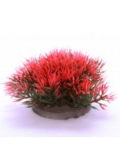 Color Grass Red / Green, 4-6cm